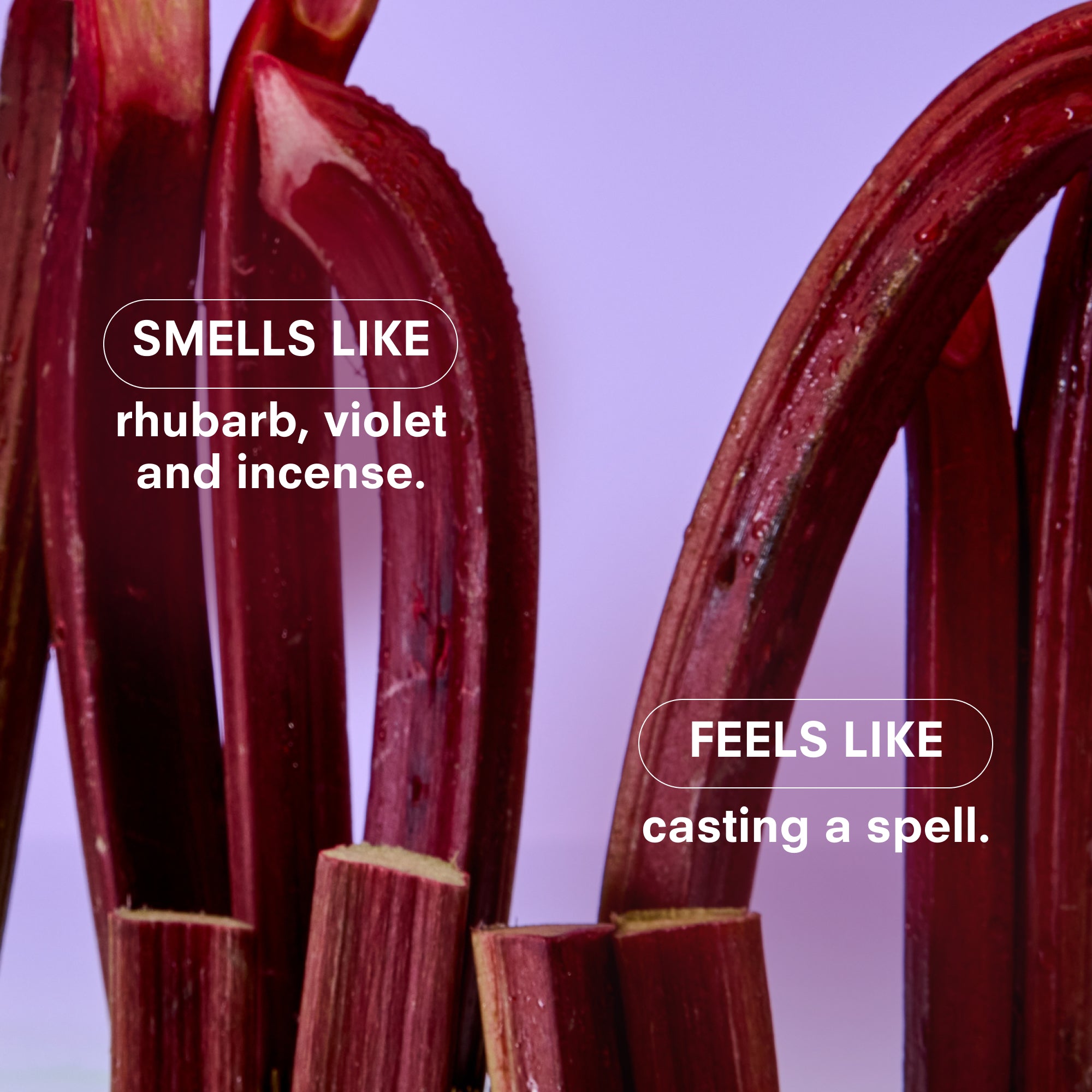 VIOLET ENDS REED DIFFUSER